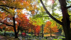 1385404_440718872700788_2124273511_n