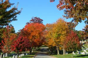 1424555_440718932700782_965205290_n