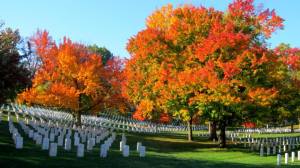 1426218_440718826034126_2061785165_n