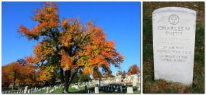 1453487_440719122700763_1921081086_n