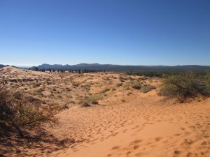 Coral Pink Sand Dunes State Park, near Kanab