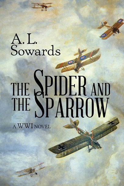 the-spider-and-the-sparrow-web
